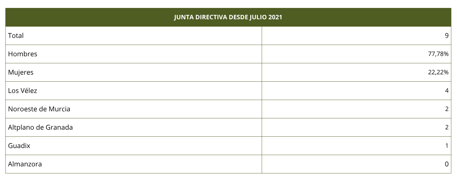 Junta Directiva