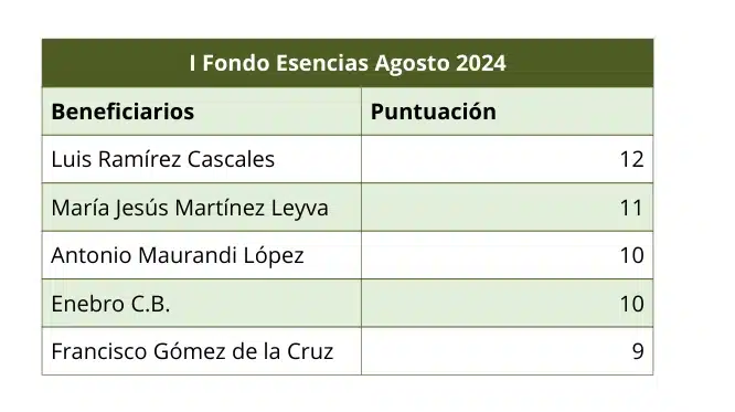 Presupuesto ejecutado