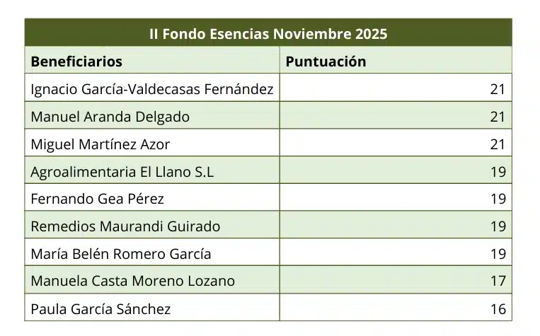 Presupuesto ejecutado