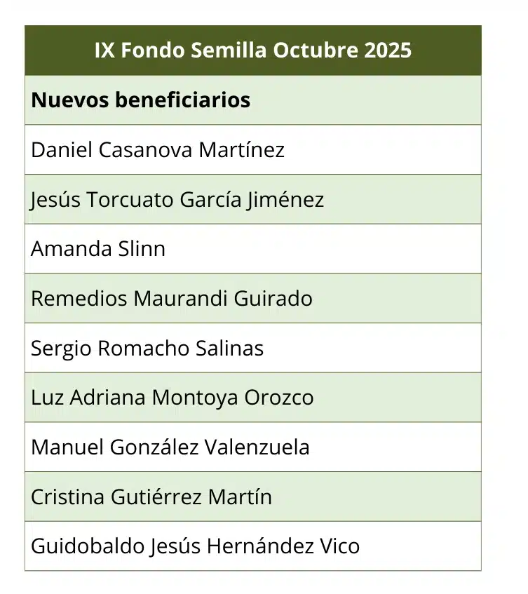 Presupuesto ejecutado
