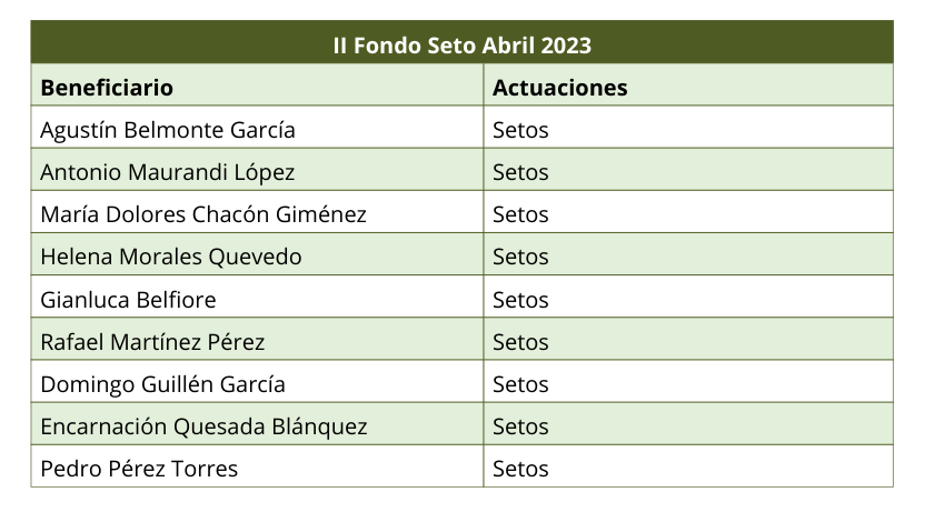 Presupuesto ejecutado
