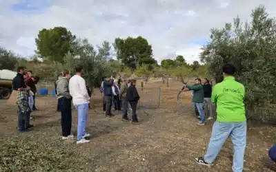 Compartir, aprender y mirar al futuro en la Jornada de Puertas Abiertas de AlVelAl  