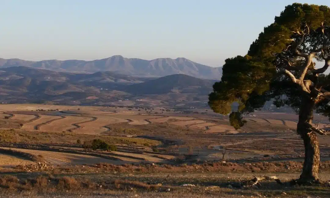 Paisaje