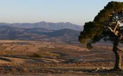 ¿Qué nos está contando el paisaje sobre nuestro territorio?