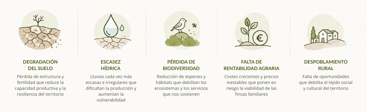 Reto compartido