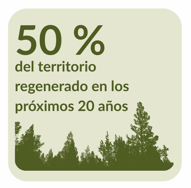 Visión