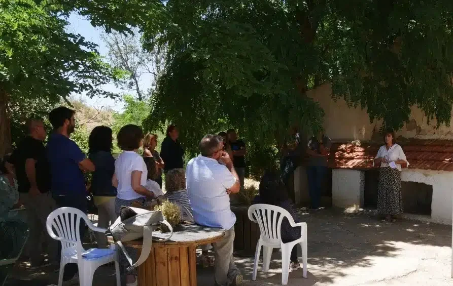 Dinamización Social