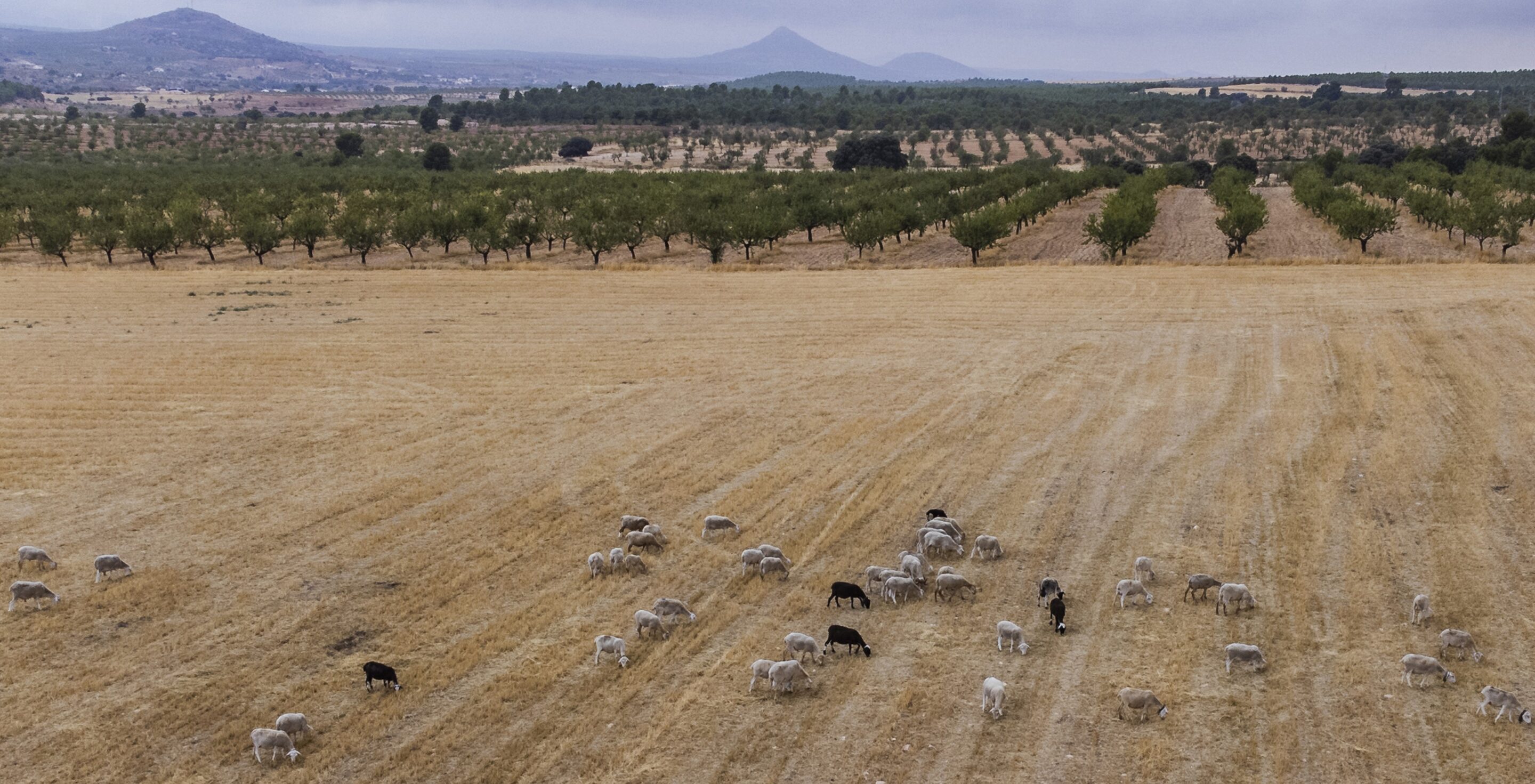 Paisaje<br />